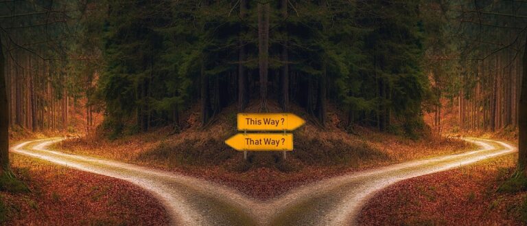This way or that way sign