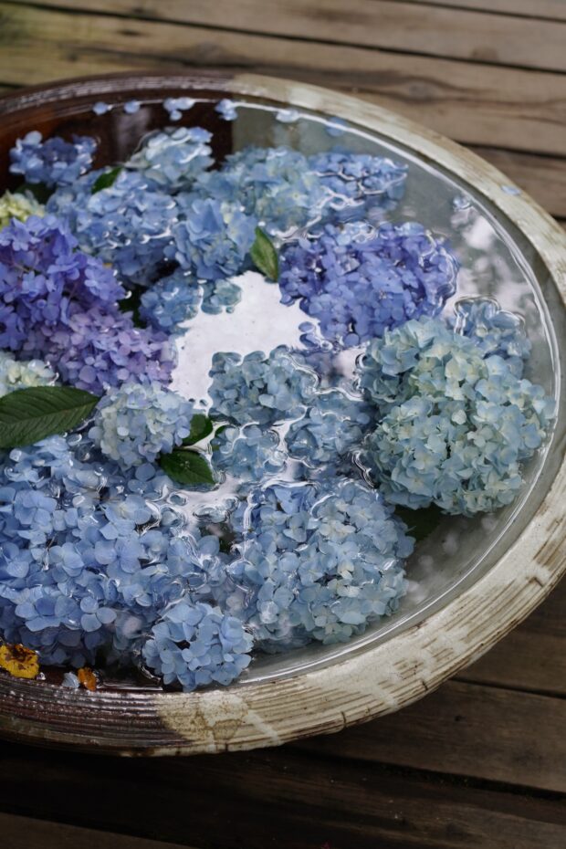 Purple flowers in water bowl